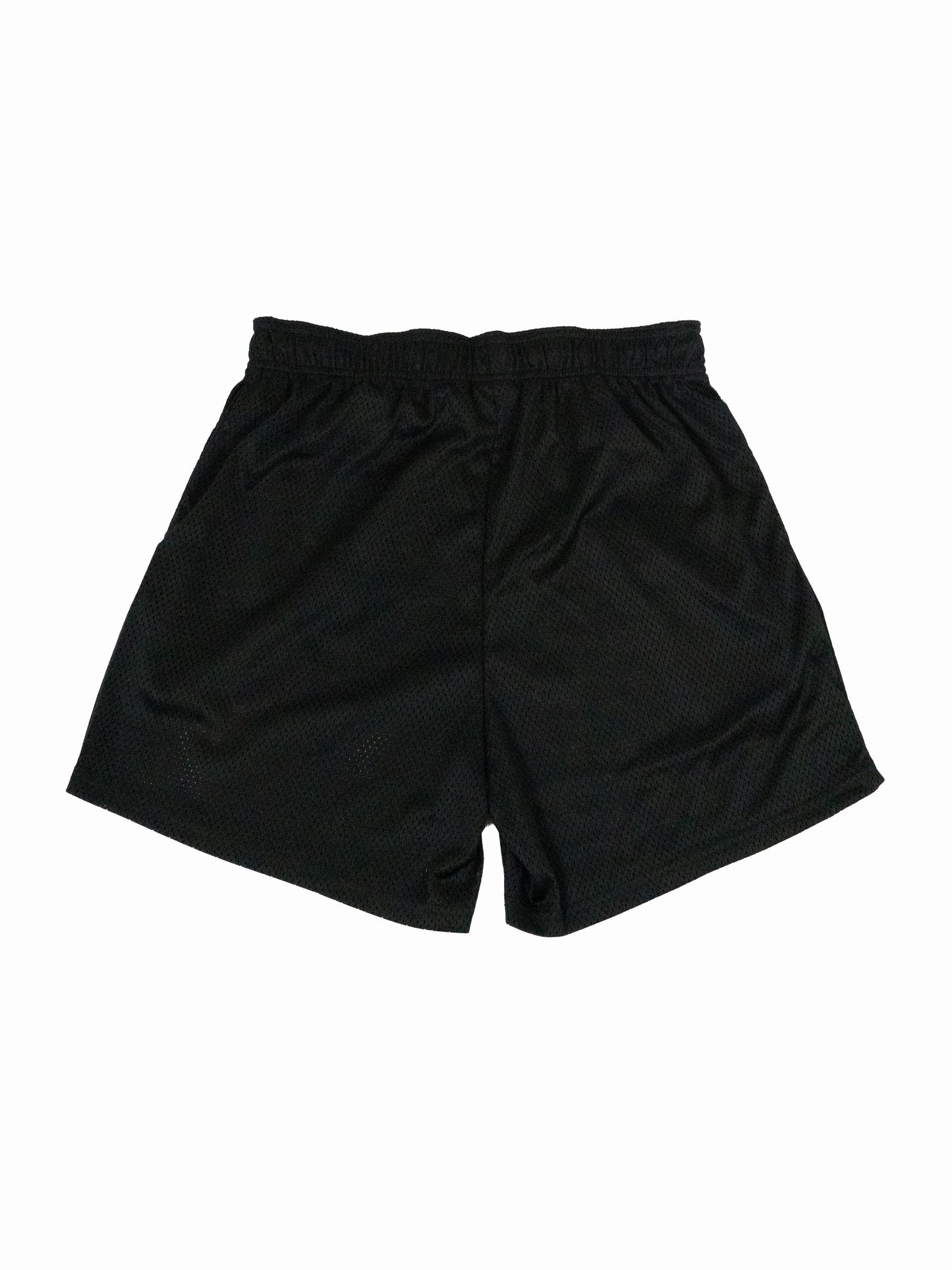 Sunshine State of Mind Mesh Shorts